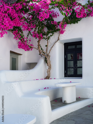 Bright flowers and house design on the island of Mykonos, Greece. Wallpaper f...