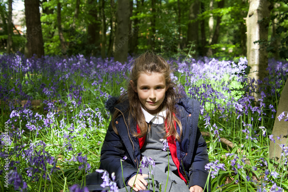 young girl in a bluebell forest, bluebells, blue, bells, forest, wood, pretty, after school, spring, young girl in a bluebell forest, bluebells, blue, bells, forest, wood, pretty, after school, spring,