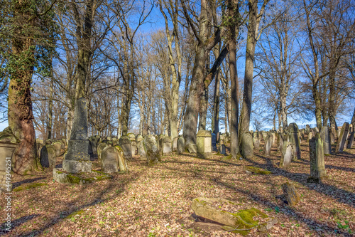 Historic jewish graveyard