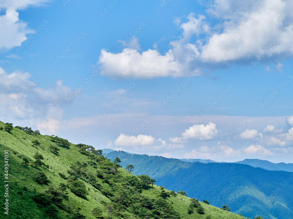 夏（7月）の高ボッチ高原 斜面に生える木と山の遠景 長野県塩尻市