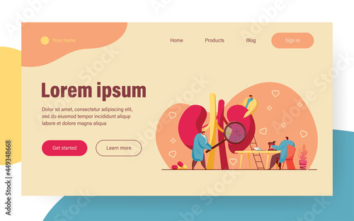 Tiny doctors examining kidneys. Nephrology, physiology study, pharmacy research flat vector illustration. Medicine, diagnosis, healthcare concept for banner, website design or landing web page