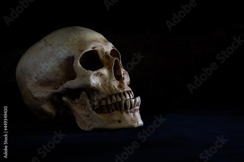 Old skull put on pile of bone on dark ground and black background.