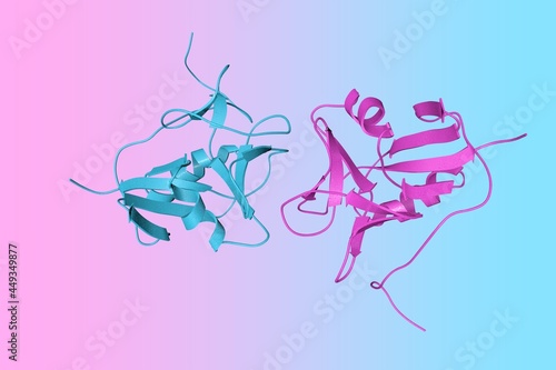 Crystal structure of the Epstein-Barr virus gr42 protein. Ribbons diagram with differently colored protein chains based on protein data bank. Scientific background. 3d illustration photo
