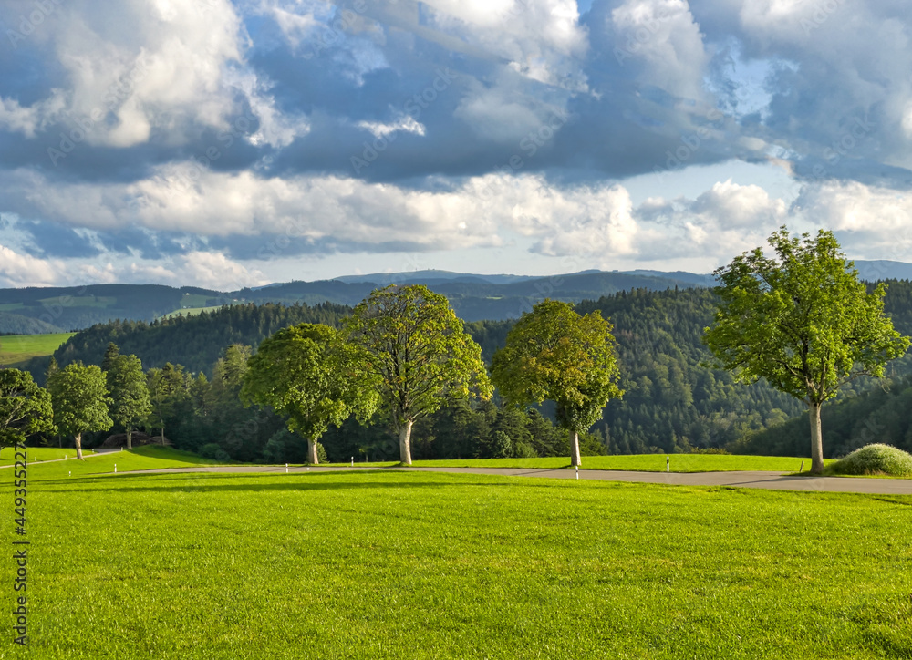 landscape with trees landscape with trees