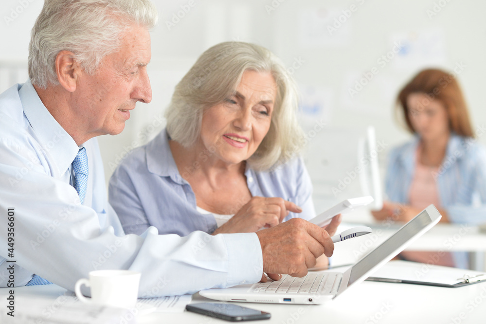 senior couple working together in office