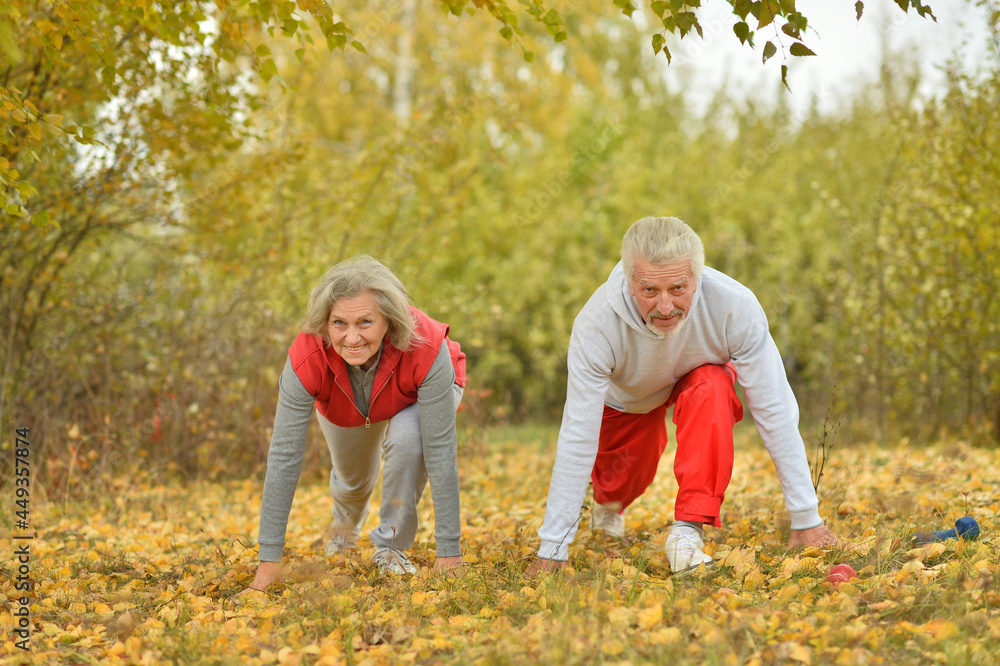 fit senior couple exercising in park
