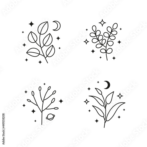 Set of different black celestial leafy branches.