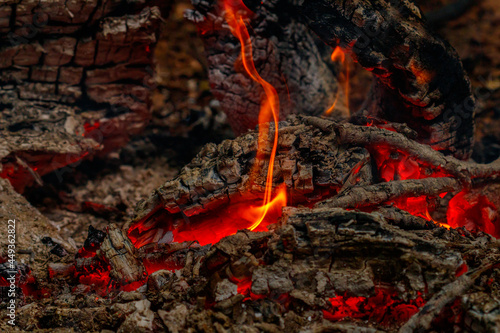 texture flame from burning logs at night