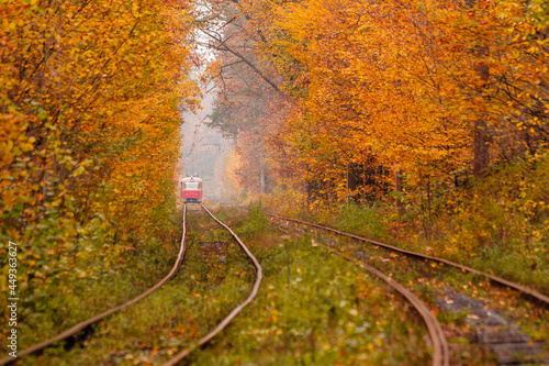 autumn forest among which goes a strange tram
