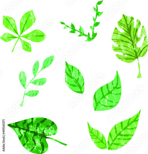Watercolor leaves, plants. Drawing of plants for print, banners, postcards in protection of nature, protection of the environment.