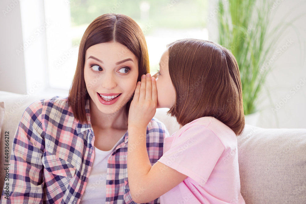 Portrait of two attractive cheerful girls sitting on divan sharing secret private information at home flat indoors Portrait of two attractive cheerful girls sitting on divan sharing secret private information at home flat indoors