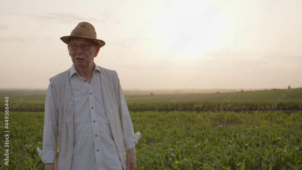 Old man in glasses crosses his hands on a field Old man in glasses crosses his hands on a field