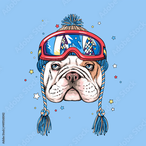 Cute cartoon english bulldog in winter hat and ski goggles. Stylish image for printing on any surface