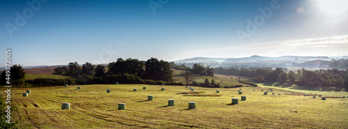 early morning landscape with hay bales in french ardennes photo