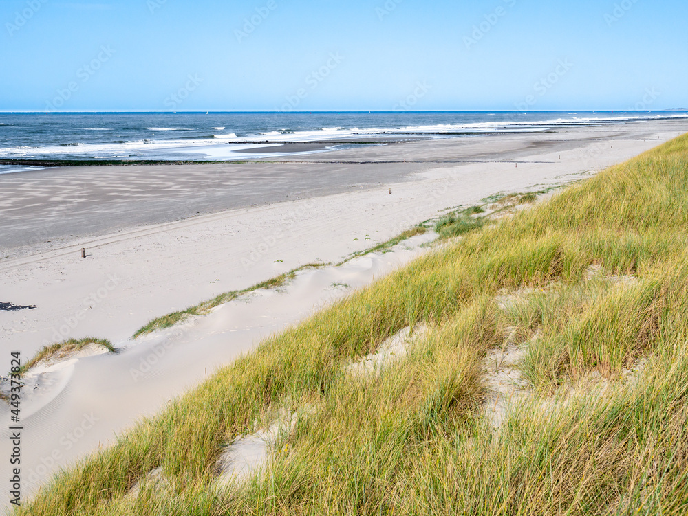 Deserted beach, breakwaters and dunes at North Sea coast of West Frisian island Vlieland, Netherlands