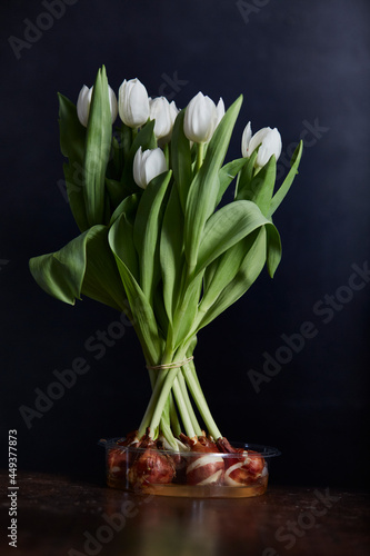 bouquet of white tulips  dark background