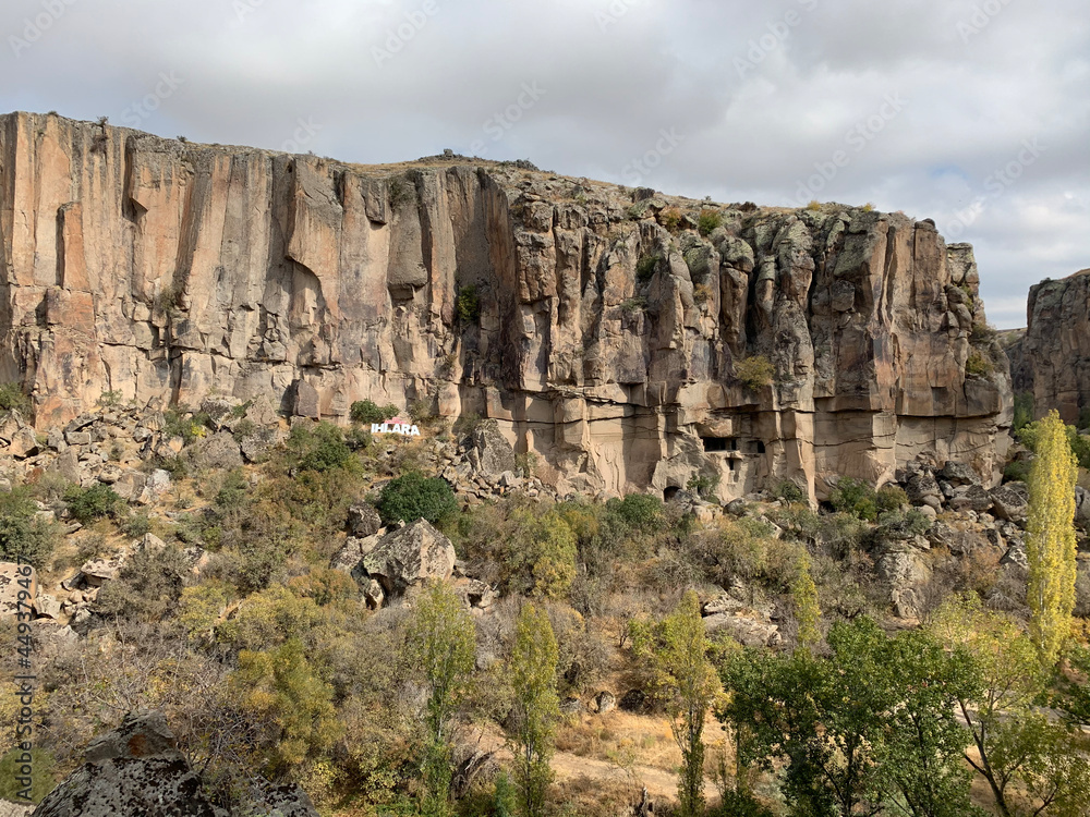 grand canyon state