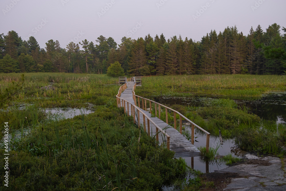 Wooden boardwalk going through the swamp and marsh leading to the rocky shore and coniferous forest at sunset hour. Grundy Provincial Park Northern Ontario, Canada. Hiking, camping, adventure concept.