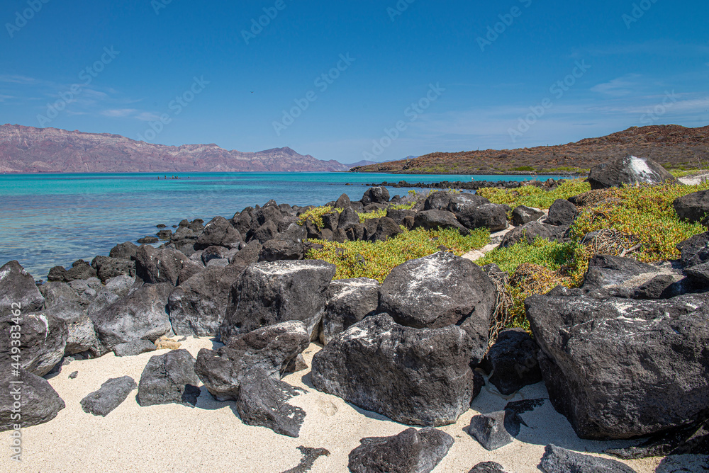 Green vegetation on the rocks by the white sands of a beach with blue crystal clear water and mountains in the background at Isla Coronado, Loreto Baja California Sur. MEXICO