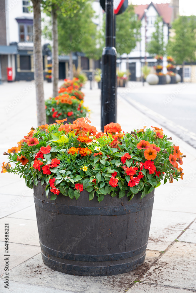 Beautiful flowers in pot in the city. Outdoor floral composition. Beautiful flowers in pot in the city. Outdoor floral composition.