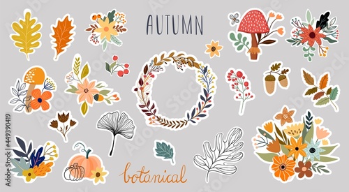 Autumn botanical stickers collection with seasonal plants arrangement