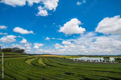 green farm sky clouds beautiful mountains good weather