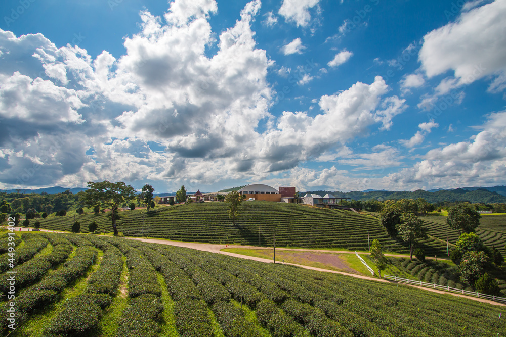 green farm sky clouds beautiful mountains good weather