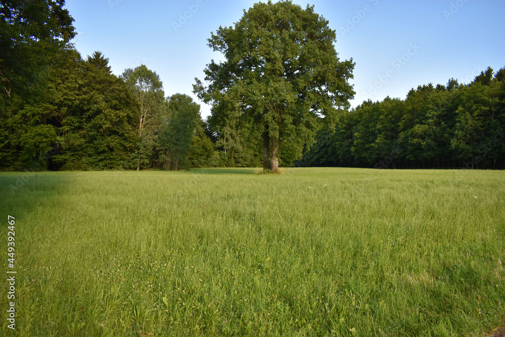 Fototapeta premium Salzburger Land