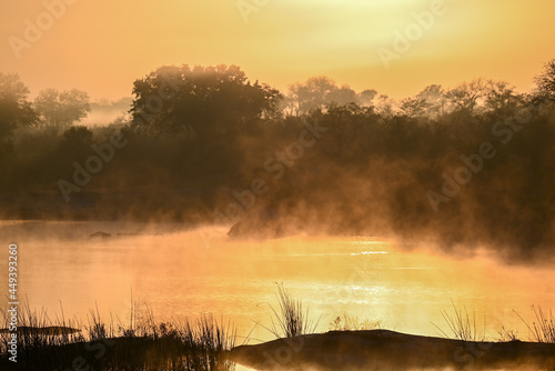 African sunrise in the bushveld 