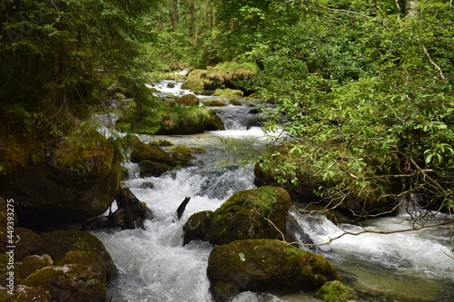Wilder Fluss