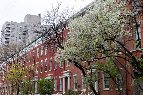 Wallpaper Mural Row of Colorful Old Brick Buildings with Flowering Trees during Spring in Greenwich Village of New York City Torontodigital.ca