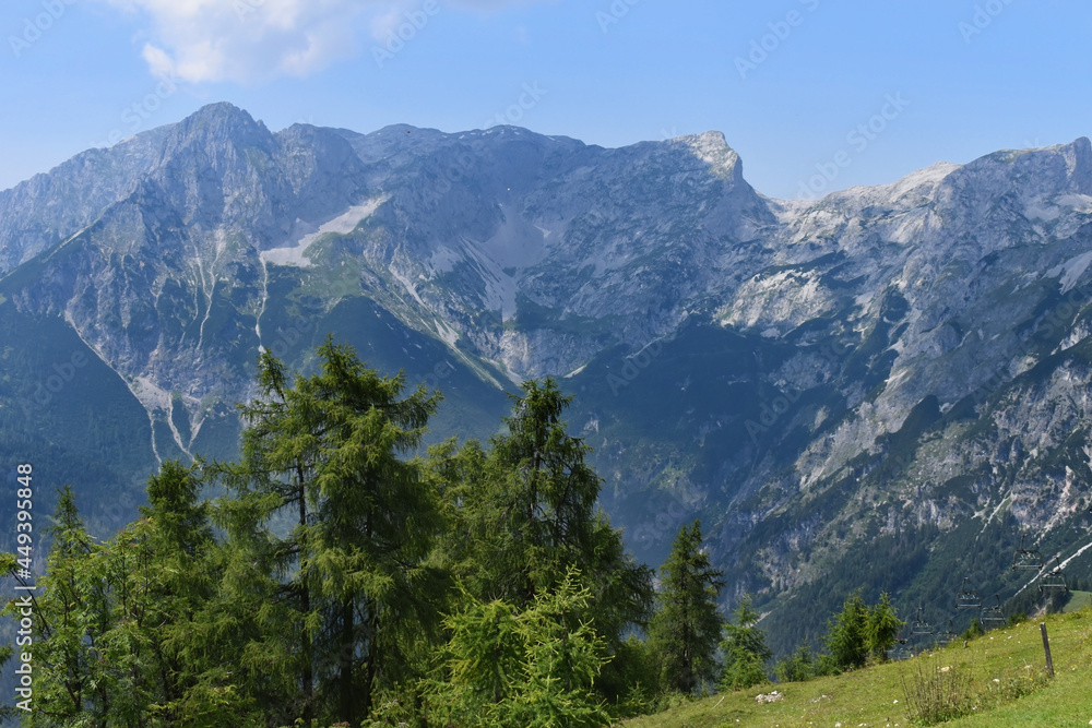 Fototapeta premium Bischlingshöhe