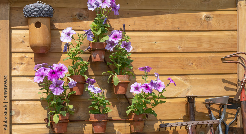 Wooden shed with flowers in pots attached