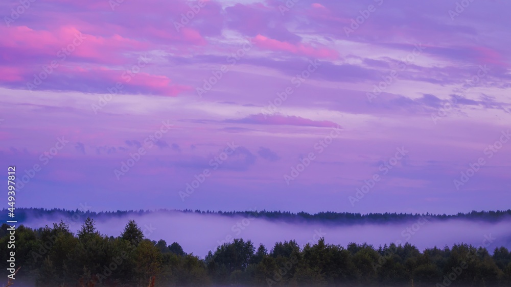 Delicate pink sunset over the forest covered with fog. Travel concept