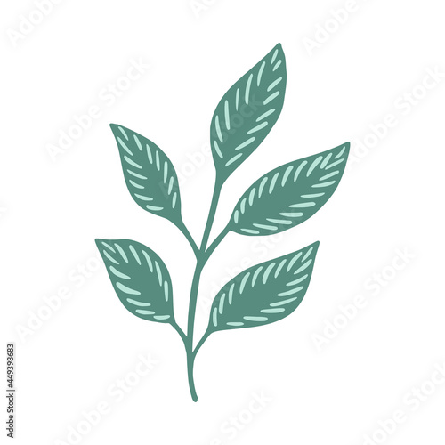 Green sprig isolated on white background. Decorative design in doodle style for any purpose. © Lidok_L