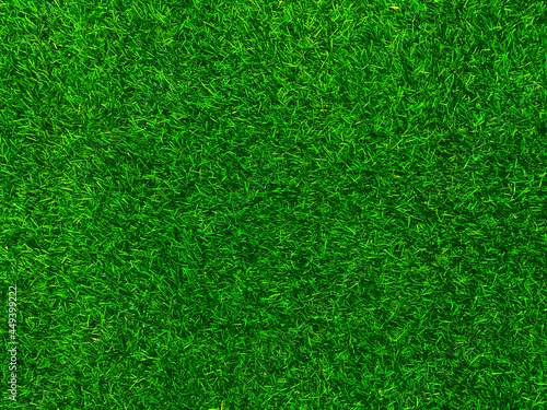 Green grass texture background grass garden concept used for making green background football pitch, Grass Golf, green lawn pattern textured background. © Sittipol 