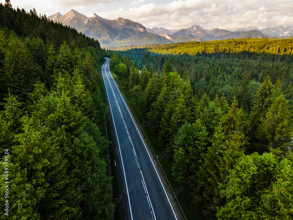 Road in Forest into Wilderness and Mountains Aerial Drone View