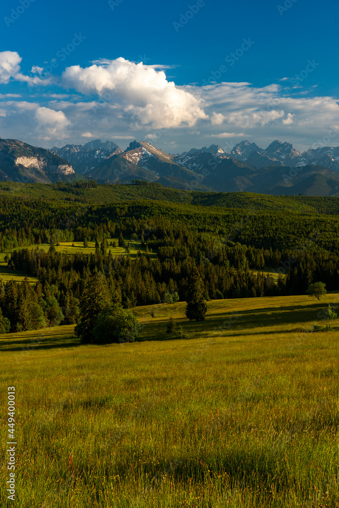 Scenic Landscape in tatra Mountains in Poland at Summer