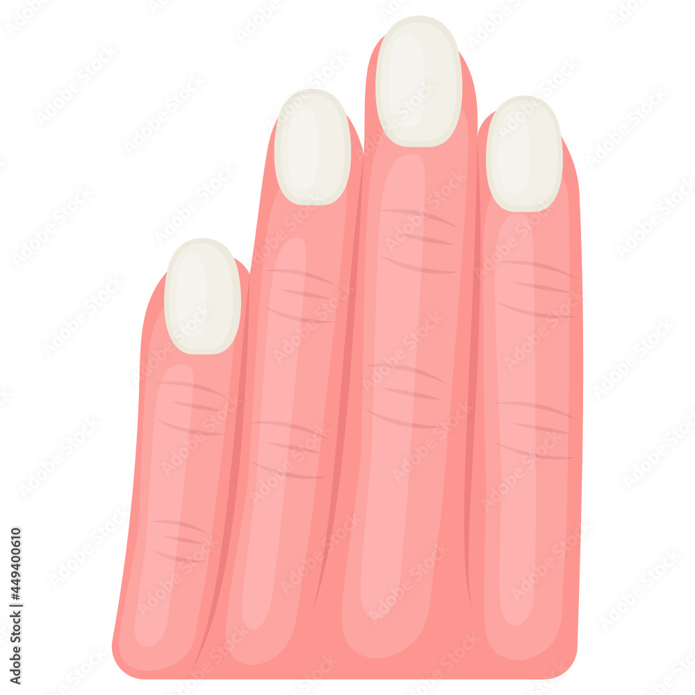 Four Finger with nails Concept, Left Hand Vector color Icon Design, Organ System Symbol, Human Anatomy Sign, Human Body Parts Stock illustration Four Finger with nails Concept, Left Hand Vector color Icon Design, Organ System Symbol, Human Anatomy Sign, Human Body Parts Stock illustration