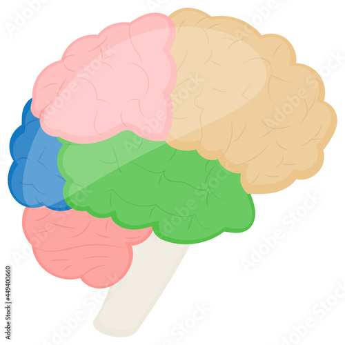 Brain and Nervous System Concept Vector color Icon Design, Organ System Symbol, Human Anatomy Sign, Human Body Parts Stock illustration