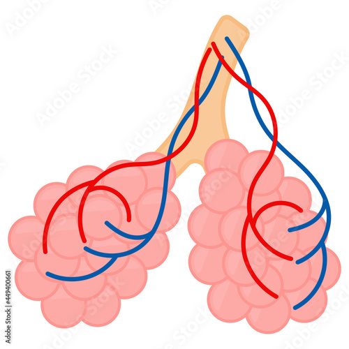 Alveoli Concept, Pulmonary  Veins Vector color Icon Design, Organ System Symbol, Human Anatomy Sign, Human Body Parts Stock illustration