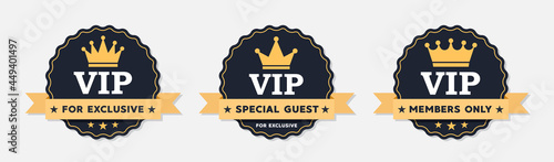 VIP vector icon set vector illustration