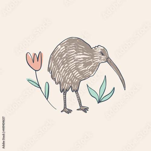Cute kiwi bird Australian animal cartoon doodle kids style drawing.