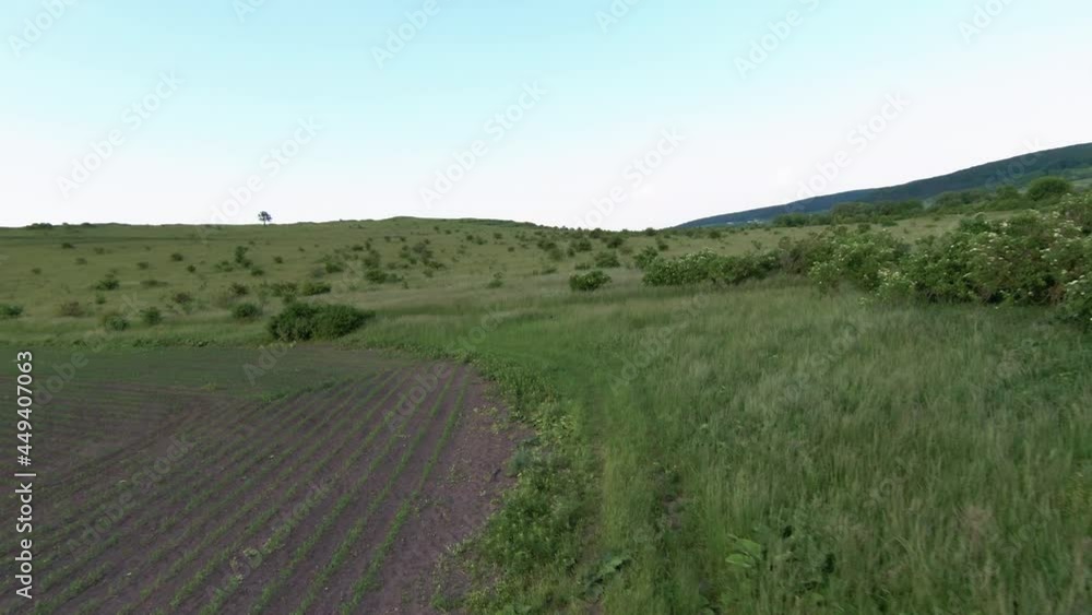 FPV aerial flight to beautiful rural nature. Inspiring scene of green wonderful wide meadows, trees and flowers, blue summer sky. Traveling concept. FPV aerial flight to beautiful rural nature. Inspiring scene of green wonderful wide meadows, trees and flowers, blue summer sky. Traveling concept.