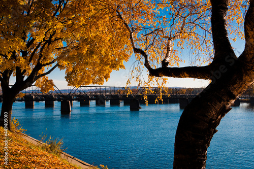 Obraz na plátne Autumn trees along the Susquehanna River in Harrisburg, PA