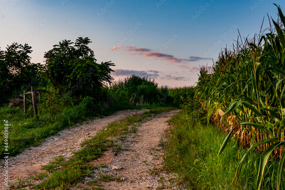 Fototapeta premium Farm Road, York, Pennsylvania