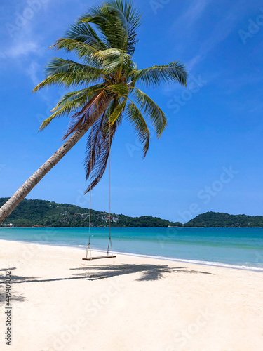 A swing under the coconut tree at Patong Beach  Phuket