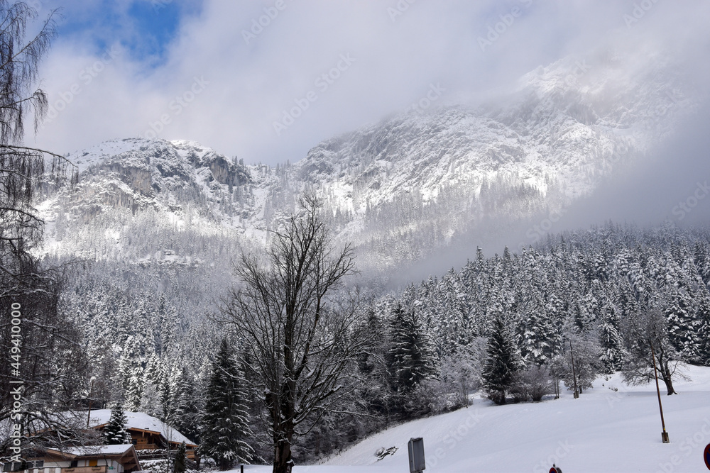 Fototapeta premium ski resort in winter