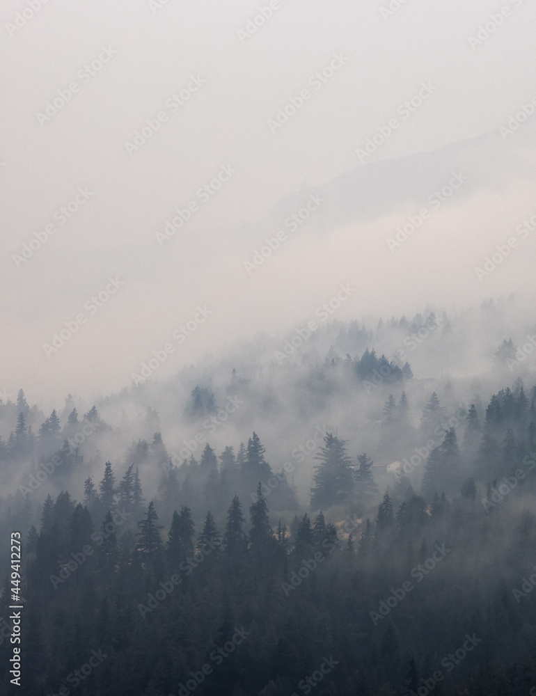 Trees on the side of a mountain in a valley covered by smoke from Forest Wildfire. Nature Disaster. Lytton, British Columbia, Canada.