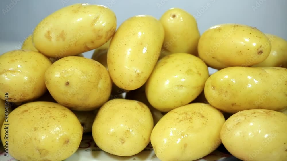 Panning shot of a pile of washed potatoes that can be made into various types of foods, nutritious and delicious Panning shot of a pile of washed potatoes that can be made into various types of foods, nutritious and delicious